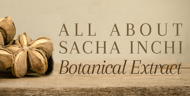 ALL ABOUT SACHA INCHI BOTANICAL EXTRACT