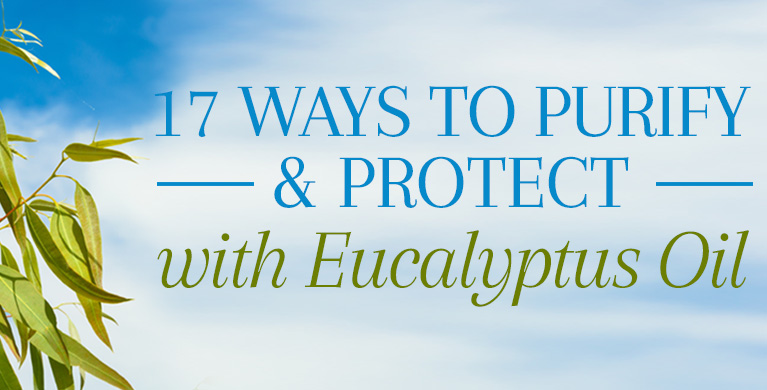 17 WAYS TO PURIFY &amp; PROTECT WITH EUCALYPTUS OIL
