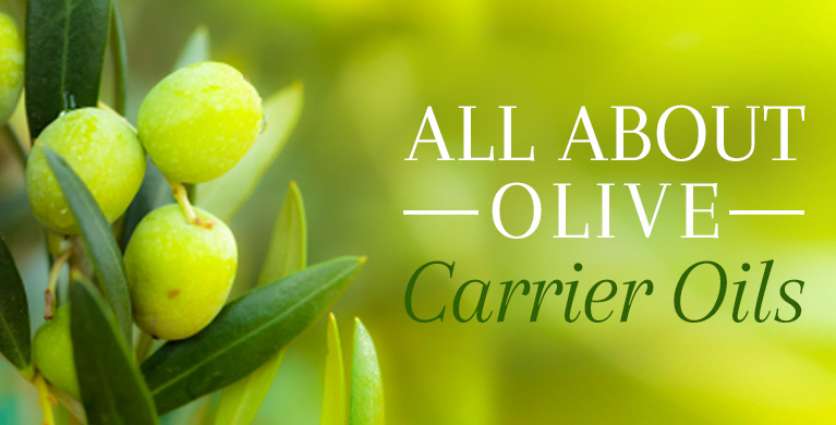 olive carrier oil