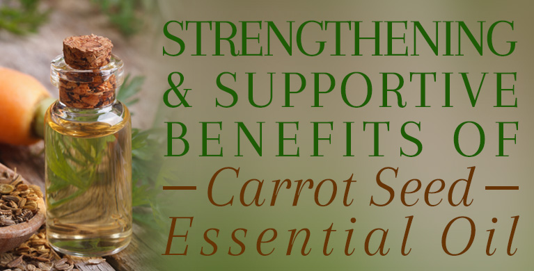 carrot seed essential oil in a bottle