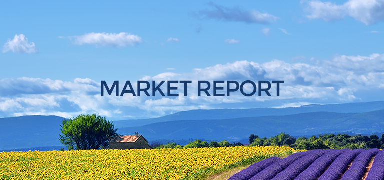 Market report image with field of flowers