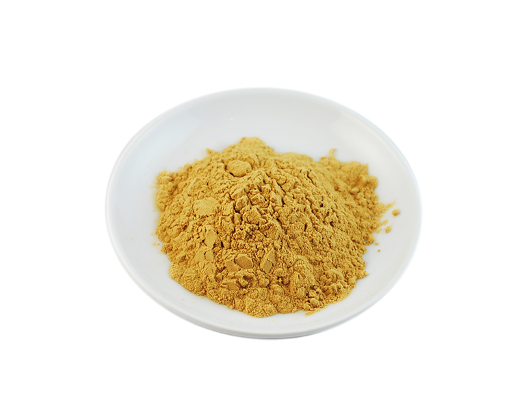 Burdock Root Extract - Vitamins & Mineral-Rich Extract For Skin & Hair