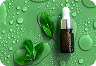 Green Tea Liquid Extract - 100% Natural (Standardized)