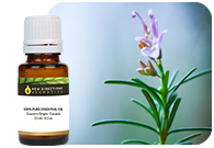 Rosemary Essential Oil - ct Cineole (Hungary)