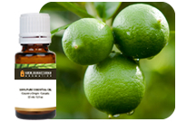 Lime - Key Lime (Natural Blend) Essential Oil