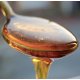 Maple Sugar Fragrance Oil